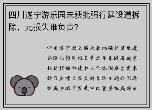 四川遂宁游乐园未获批强行建设遭拆除，元损失谁负责？