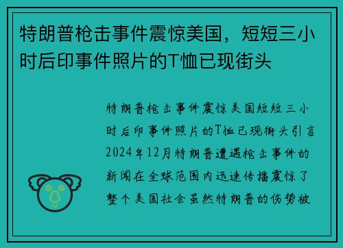 特朗普枪击事件震惊美国，短短三小时后印事件照片的T恤已现街头