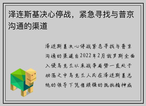 泽连斯基决心停战，紧急寻找与普京沟通的渠道
