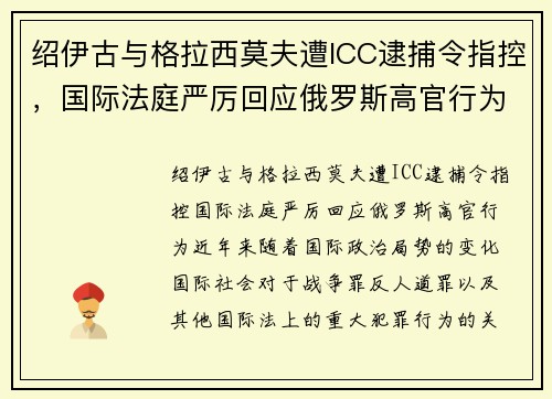 绍伊古与格拉西莫夫遭ICC逮捕令指控，国际法庭严厉回应俄罗斯高官行为